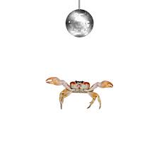 /images/Tapeone/Crabwalk.jpg